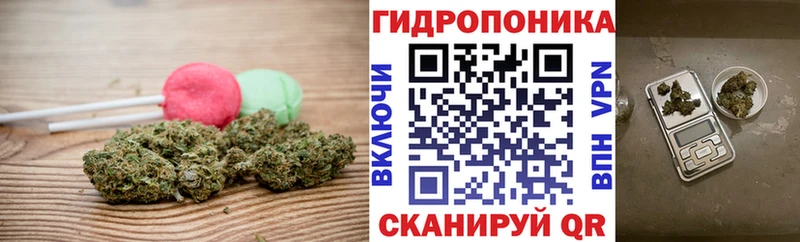 Canna-Cookies марихуана  Купить где  Кудрово 