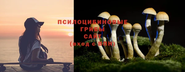 стаф Армянск