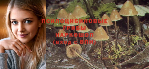 стаф Армянск