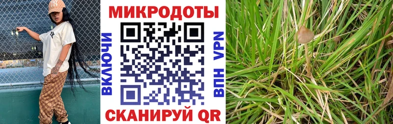 Купить закладки  Кудрово  Псилоцибиновые грибы Magic Shrooms 
